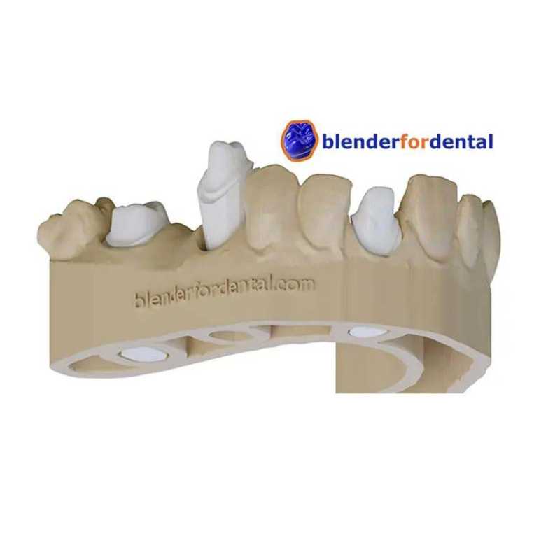 PTE SZAKMAI OKTATÁSI NAP BLENDER FOR DENTAL HANDS-ON OKTATÁS