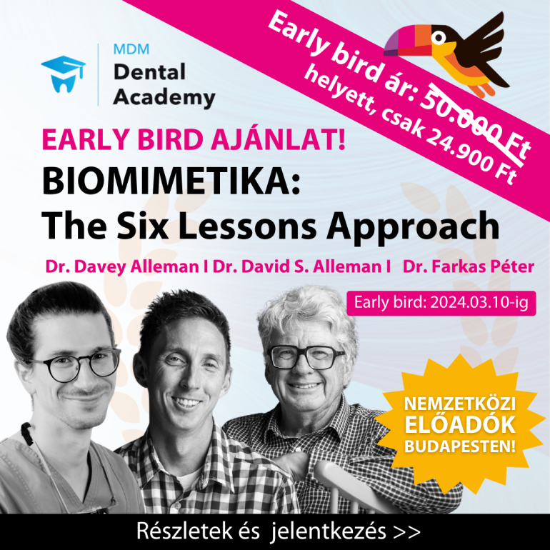 BIOMIMETIKA: The Six Lessons Approach